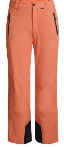 Брюки горнолыжные Icepeak 657038839IV 455 в Сочи