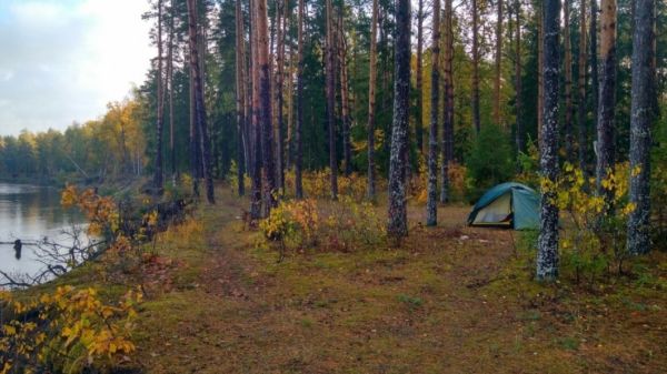 Палатка Normal Ладога 2 