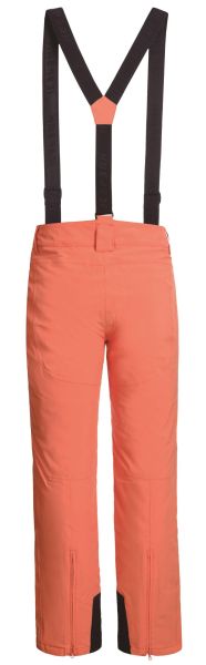 Брюки горнолыжные Icepeak 657038839IV 455 в Сочи
