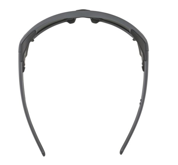 Купить очки alpina skywalsh q midnight-grey matt/blue mirror cat.4 fogstop в Сочи