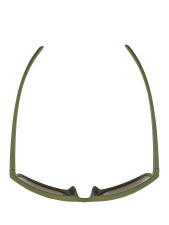Купить Очки Alpina Nacan I Olive Matt/Bronce Mirror Cat.3 в Сочи