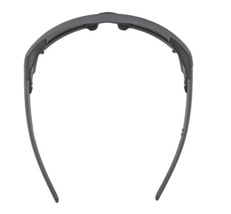 Купить Очки Alpina Skywalsh Q Midnight-Grey Matt/Blue Mirror Cat.4 Fogstop в Сочи