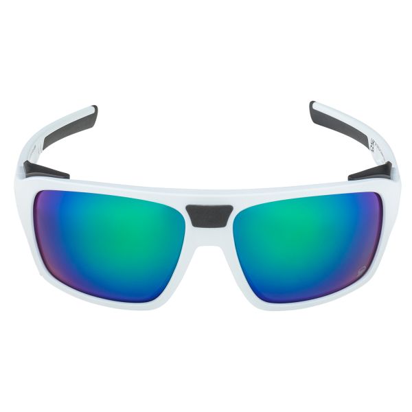 Купить очки alpina skywalsh q smoke-grey matt/green mirror cat.4 fogstop в Сочи