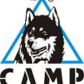 Кошки CAMP в Сочи
