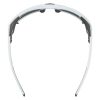 Купить Очки Alpina Skywalsh Q Smoke-Grey Matt/Green Mirror Cat.4 Fogstop в Сочи