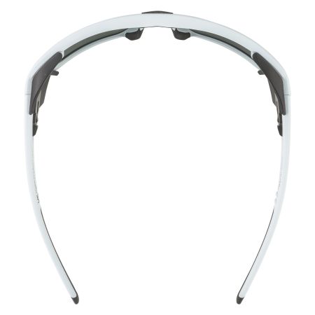 Купить Очки Alpina Skywalsh Q Smoke-Grey Matt/Green Mirror Cat.4 Fogstop в Сочи