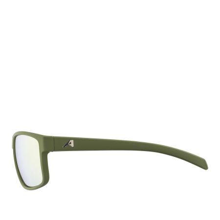 Купить Очки Alpina Nacan I Olive Matt/Bronce Mirror Cat.3 в Сочи