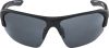 Купить Очки Alpina Lyron Hr Black Matt/Black Mirror Cat.3 в Сочи