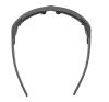 Купить Очки Alpina Skywalsh Q Midnight-Grey Matt/Blue Mirror Cat.4 Fogstop в Сочи