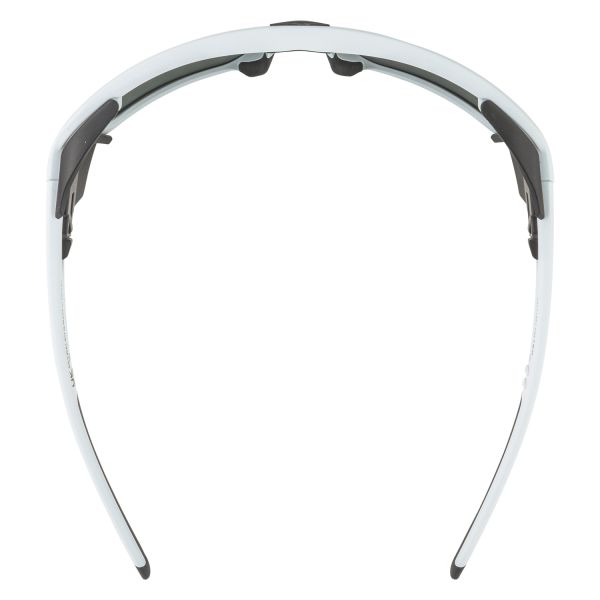 Купить очки alpina skywalsh q smoke-grey matt/green mirror cat.4 fogstop в Сочи