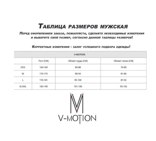 Термобельё V-MOTION Base мужской серебристый в Сочи